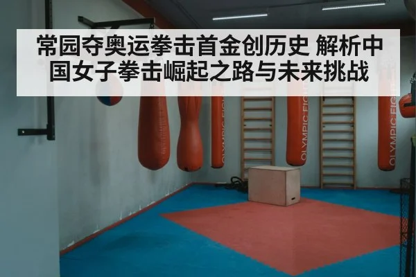 常园夺奥运拳击首金创历史 解析中国女子拳击崛起之路与未来挑战